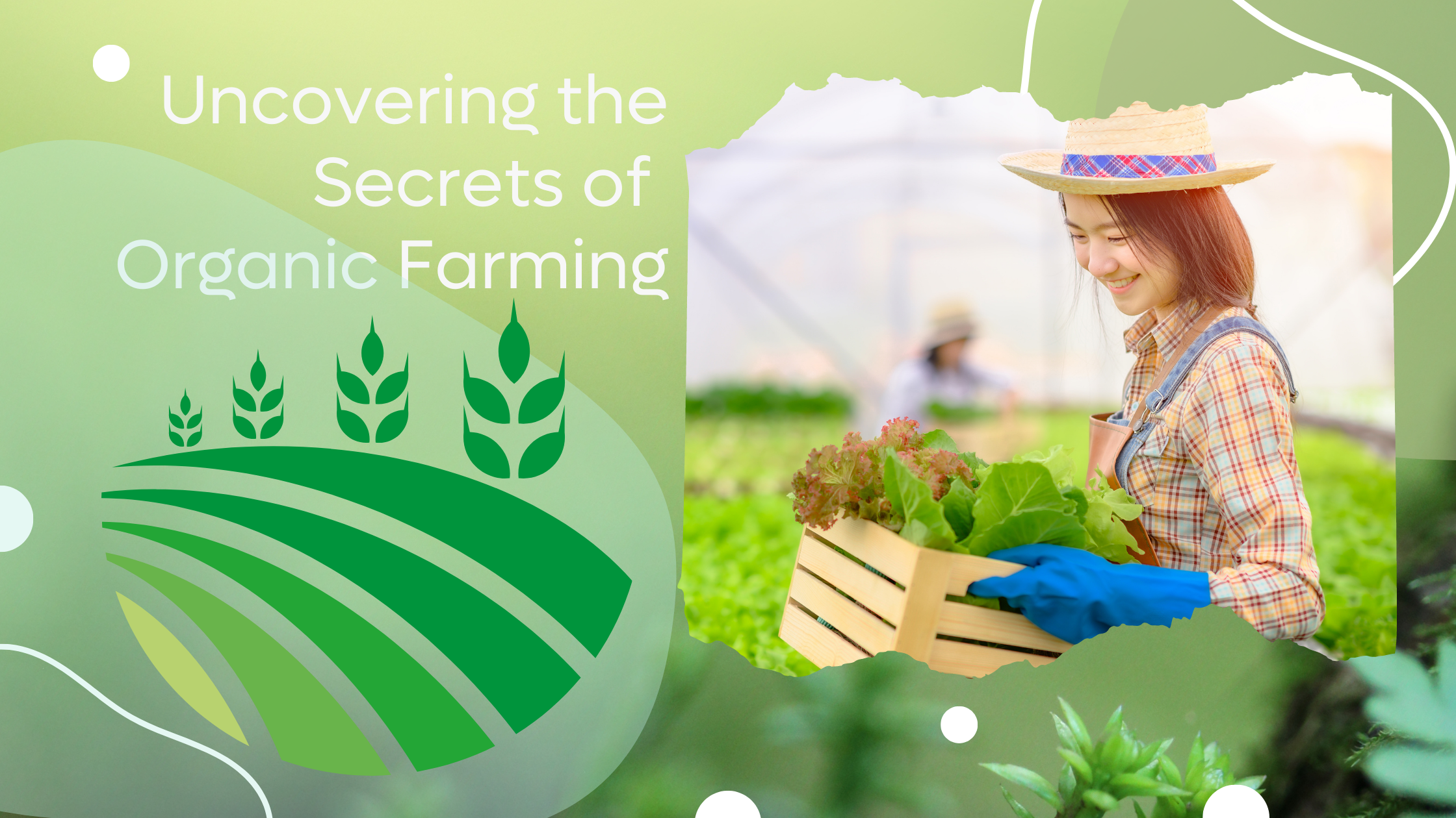 Uncovering the Secrets of Organic Farming: Benefits and Best Practices